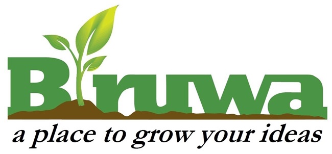 Biruwa Ventures - Logo Small (Website)