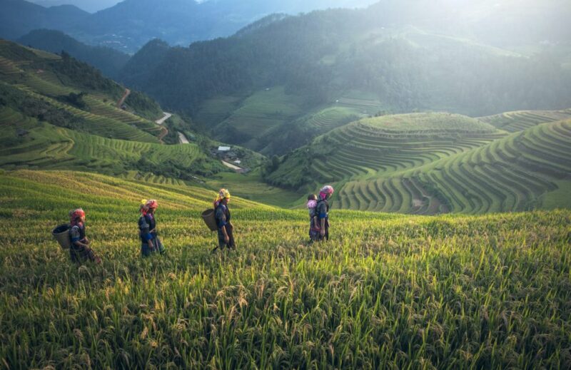 Challenges Faced by Nepali Women Entrepreneurs